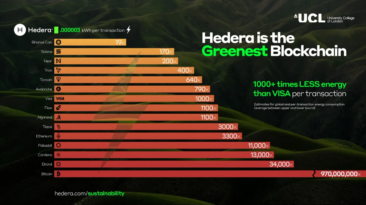 Hedera